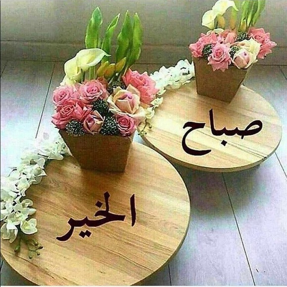 Meet your Posher, Linda - Picture 1 of 1